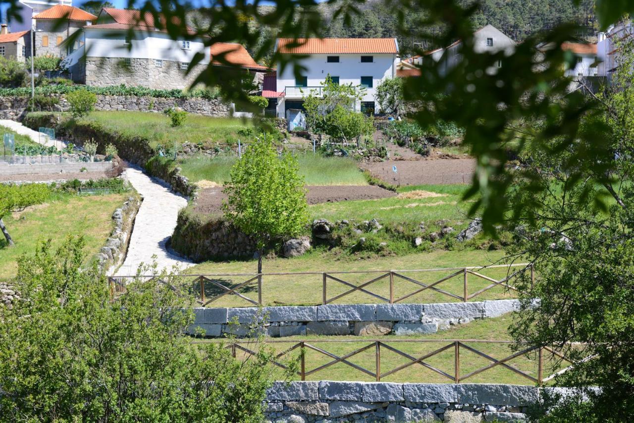Casa Dos Alcaides Villa Sabugueiro  Luaran gambar